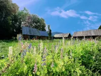 禾木開門見山民宿（禾木橋店） 住宿飯店