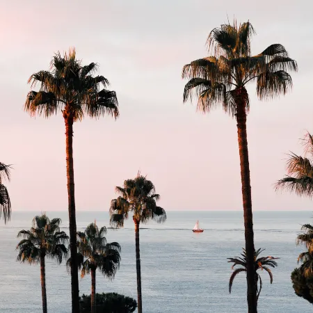 Mondrian Cannes