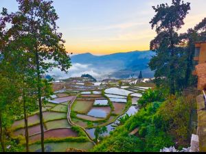 Rice Field Ideal Homestay