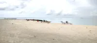 Madi Grand Maldives - Beach