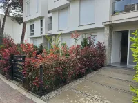 Pinegrove Apartment