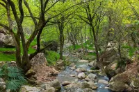 Floral Hotel · Jiuhuashan Liuyunzhu Hotel (Jiuhua Mountain Store) - غرفة مطلة على الجبل
