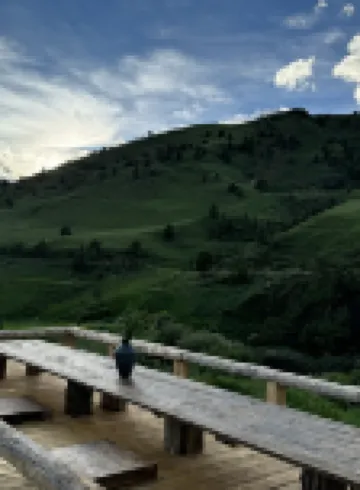 Shanxia · Wild House (Gnie Shenshan Store)
