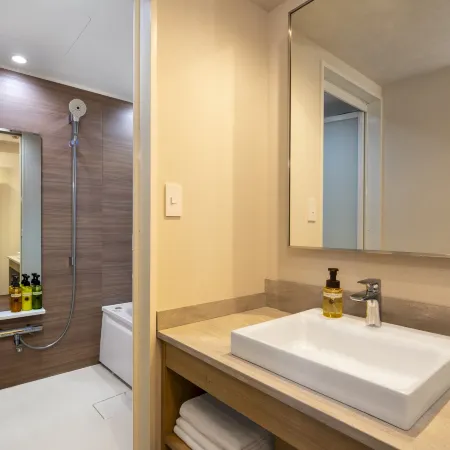 HOTEL MYSTAYS Iidabashi (Old name:Flexstay Inn Iidabashi) Отели рядом с достопримечательностью «Арена «Зал Коракуэн»»