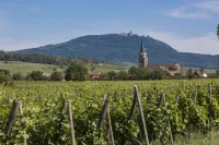 Résidence Odalys le Domaine des Rois - WiFi