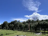 Daofu Xiangbaling Homestay