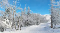 Xuexiang Xueyu Mountain Residence Hotel - غرفة مطلة على الجبل