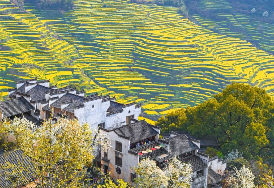 yueting-qiuyun-homestay-wuyuan-huangling-resort-branch-holiday