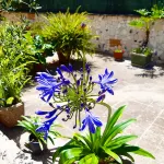 레 타레 B&B  호텔