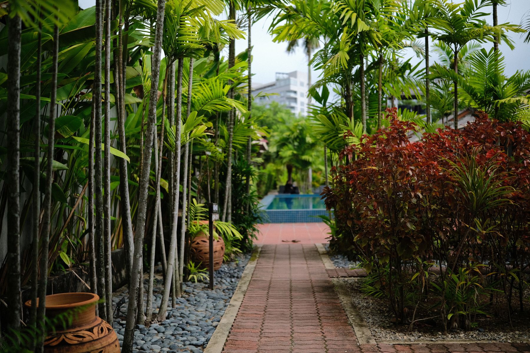 Tropical Resort Langkawi