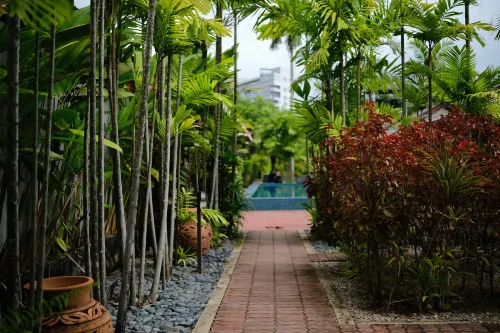 Tropical Resort Langkawi