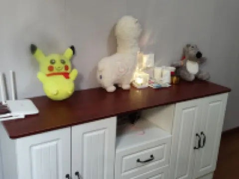 Shaodong Nanbei Hotel (Shaodong High-Speed Railway Station) Hotels in Shaodong