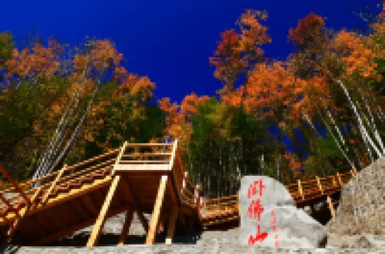 滿歸伊克薩瑪ホテル