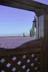 Huocheng Garden Homestay - Bergblick