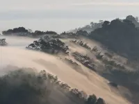 Lancang Tea Youxiaoju Inn - con vistas a la montaña