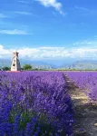 Huocheng Jianglanyuan · Xunfeng Slow Travel Homestay