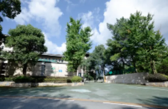 Ginkgo Queen Hotel Hotels near Jinfuo Mountain