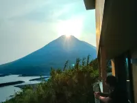 Kino-saji