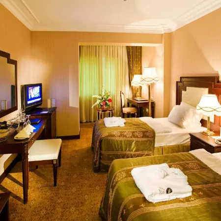 Latanya Palm & Spa Airport  Hotel