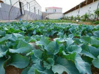 Sanmuyuan Homestay · Yuli Hotels in Yuli