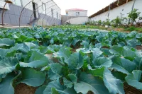 Sanmuyuan Homestay · Yuli
