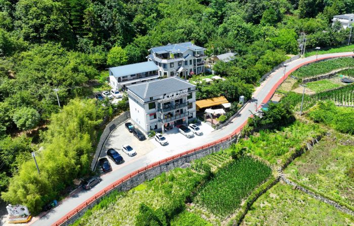 聽風竹苑民宿