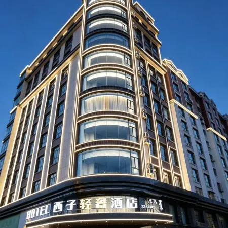 Xizi Light Luxury Hotel (Urad Qianqi Government Store)
