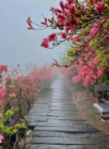 麻城杜鵑山荘ホテル