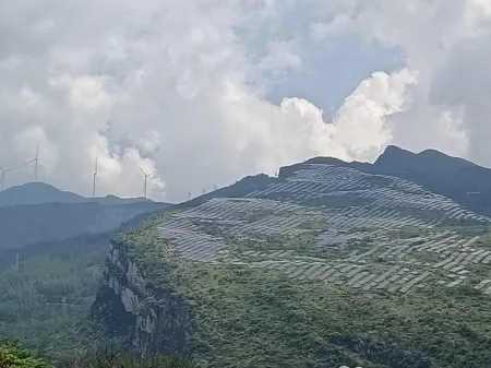 Nayong Yangchangzhen Yuxiangqi Business Hotel