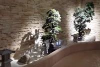 Hyatt Regency Metropolitan Chongqing - Spa