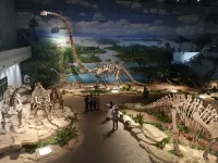 Adai Longlong Homestay (Zigong Fangte Dinosaur Kingdom Branch) - ห้องครัว