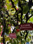 Mantu Wenquan Homestay