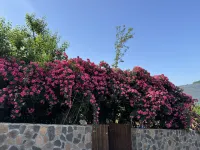 Erma Home - Bergblick