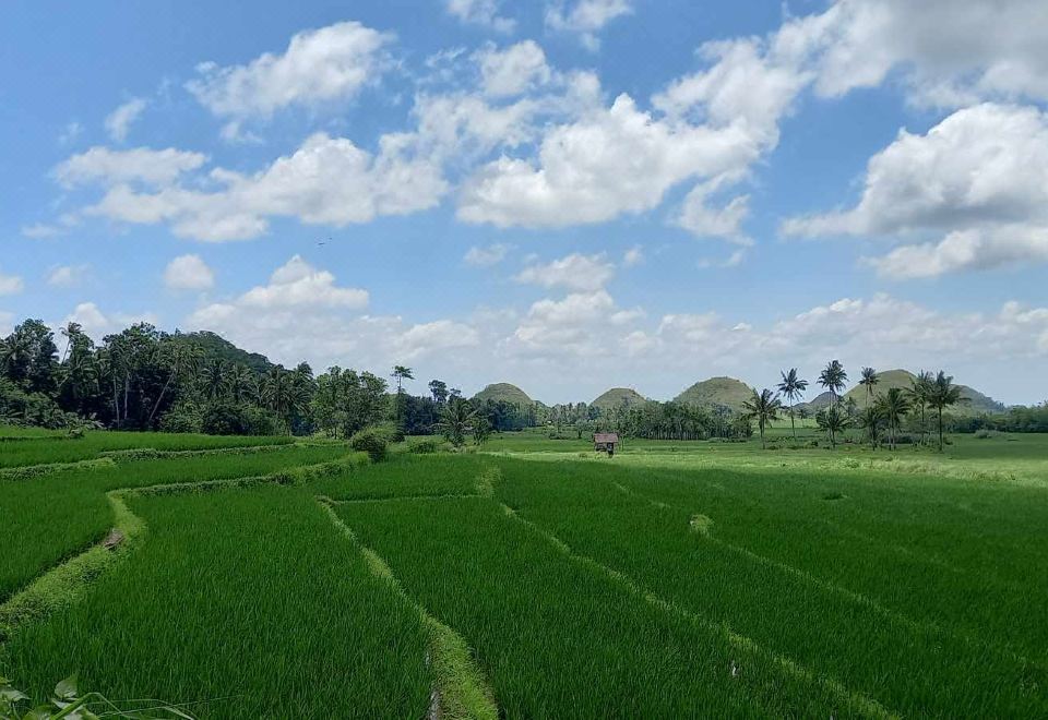 Bamboo-Garden Tourist Inn 이미지