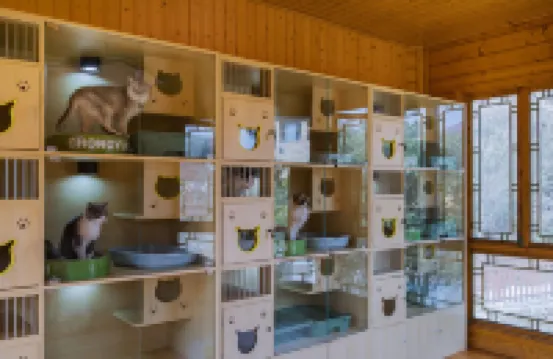 Mo Niuniu Cute Pets · Swimming Pool Stream Tracing Family-Friendly Ranch Fishing Resort Manor (Anji)