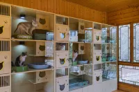 Anji Moniuniu Xiaoranyuan Manor