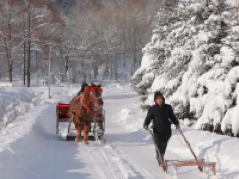 A snow and a winter   Hotel Hotels in Hailin