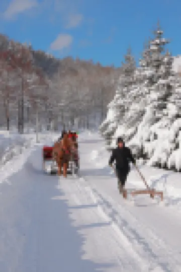 A snow and a winter   Hotel