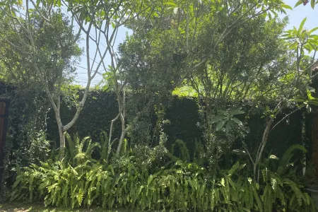 Villa Baliantoro Yogyakarta