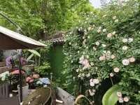 huangshanhuiyuankezhan فنادق في 