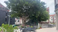 Meizhou Cape Shiguang Guesthouse (Ancestral Temple Meiyu Chaoyin Branch) - 비치