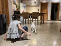 Floral Hotel·Songye Boutique Hotel