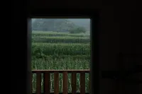 Lan Yunye Homestay - Mountain view