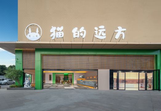 Cat's Distance Guesthouse 객실 전경