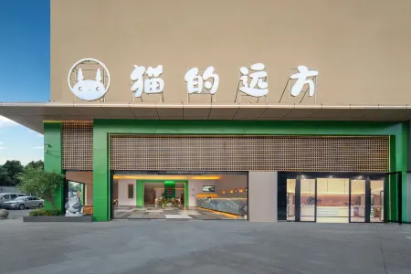 Cat's Distance (Anshun Tiansheng International Trade City Store)