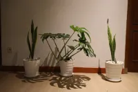 Imah Budi Luhur Отели в г. 