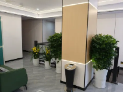 Dayin Movie Homestay Hotel