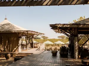 Popular Premium Hotels in Chobe