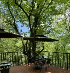 Shuifu Mancheng Forest Hotel - breakfast