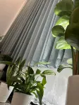 Dexing Xingri Hotel
